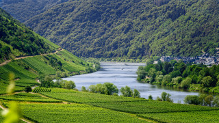 River valley hillside landscape impressionist - a lush green hillside free wallpaper