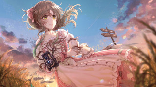 Woman dress field bird sky - photographic free wallpaper