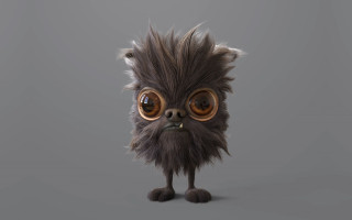 Furry animal big eyes mustache - animal free wallpaper for desktop