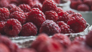 Raspberries tray market tiltshift blurry - sale free wallpaper