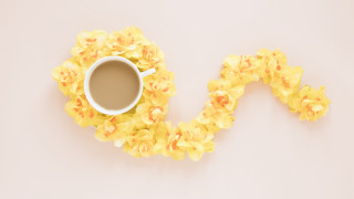 Coffee flower garland white surface - liminal free wallpaper