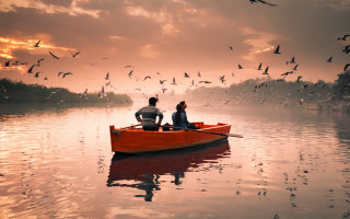 Lake birds sunset couple boat - a flock of birds free wallpaper
