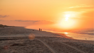 Beach sunset kite people horizon - cindy wright free wallpaper for desktop