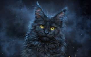 Black cat yellow eyes dark 4 - the sky behind free wallpaper