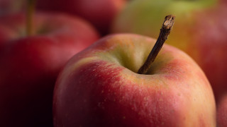 Apples macro shallowdepth blurry background - apple free wallpaper