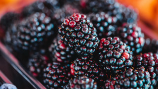 Berries bowl bokeh christmas santa - a bowl free wallpaper