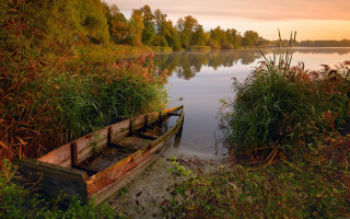 Lake sunset ecological landscape forest - the shore of a lake free wallpaper for desktop