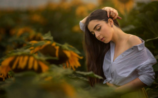 Sunflower field woman blurry portrait - anton graff free wallpaper