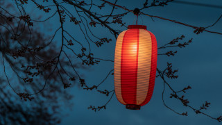 Red white lantern night bamboo - lantern free wallpaper