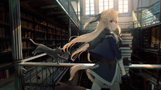 Library angelic fox cat portrait - academic free wallpaper