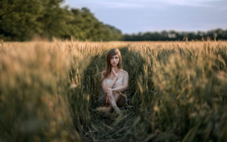 Woman sitting field blurry background - tall free wallpaper