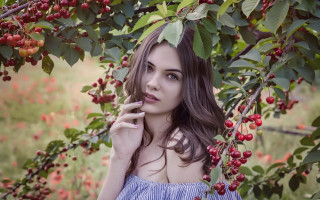 Woman blue dress berry tree - a cigarette free wallpaper for desktop