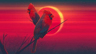 Birds sunset red moon torii - a red sun in the background free wallpaper