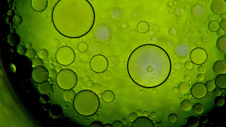 Green liquid bubbles macro bokeh - free rain wallpaper