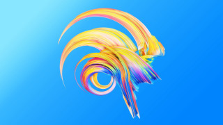 Colorful bird flying rainbow tail - a colorful bird free wallpaper
