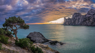 Cliff ocean sunset tree rock - a rock free wallpaper for desktop