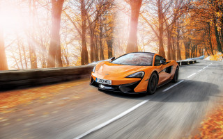 Orange sports car woods autumn - a orange sports car free wallpaper