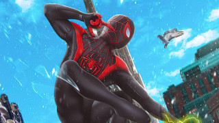 Spiderman rain pole bird city - a spider man free wallpaper