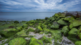 Rocky shore green mossy water - a boat in the distance free wallpaper