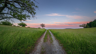 Dirt road field sunset tree - a tree in the distance free wallpaper