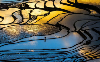 Rice field night sunshine window - chen chun free wallpaper for desktop