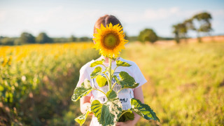 Girl sunflower field blurry sky - young free wallpaper for desktop