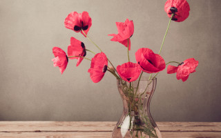 Red rose vase wooden table - red flower free wallpaper for desktop