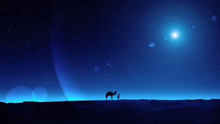 Desert night moon stars camel - the desert free wallpaper for desktop
