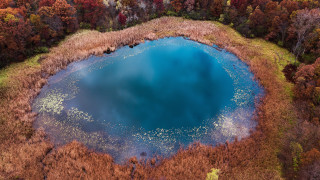 Blue lake autumn fall trees - a blue lake free wallpaper