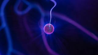 Blue purple red apple string - plasma free wallpaper