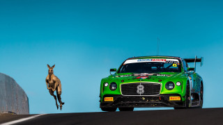 Green car kangaroo wall jumping - a green car free wallpaper