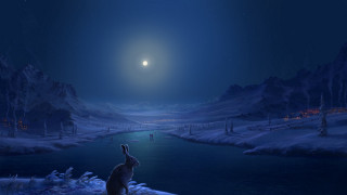 Cat snow moon stars river - the moon free wallpaper for desktop
