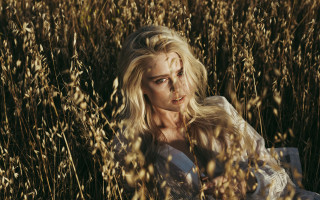 Woman blonde hair field forest - a woman in a field free wallpaper
