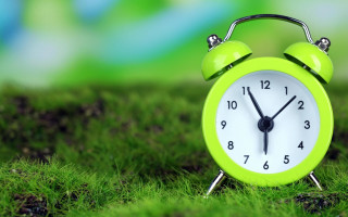 Green alarm clock grass nature - a green field of grass free wallpaper for desktop