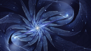 Blue flower starry background planet - petal free wallpaper for desktop