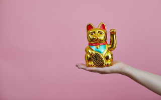 Person holding gold cat figurine - a pink wall free wallpaper