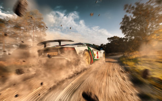 Car dirtroad trees birds motionblur - motion blur free wallpaper