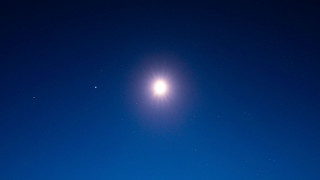 Bright moonlight snow field tree - anamorphic len free wallpaper for desktop