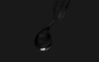 Water drop leaf black background - a drop of water free wallpaper