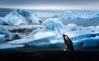Wolf iceberg landscape mountains nature - iceberg free wallpaper for desktop