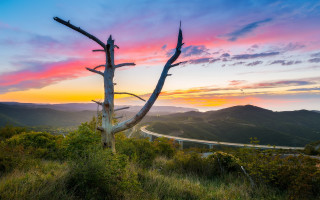 Tree grass road mountains sunset - photograph free wallpaper for desktop