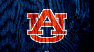Wooden background auburn logo blue - a wooden background free wallpaper