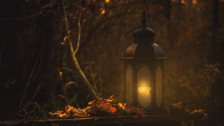 Lantern forest embers fire flame - a lantern free wallpaper for desktop