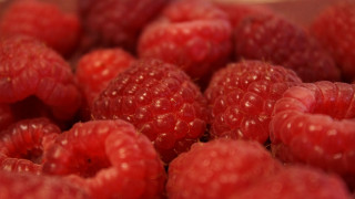 Raspberries bowl water spoon macro - eve disher free wallpaper for desktop