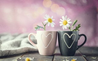 Coffee cups flowers table blanket - morning free wallpaper for desktop