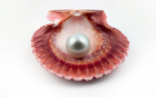 Pearl shell reflection precisionism digital - carol bove free wallpaper