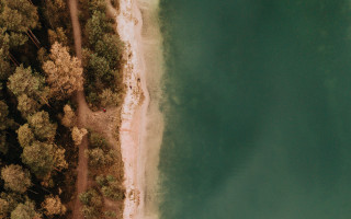 Beach sandy shore trees lake - a sandy shore free wallpaper
