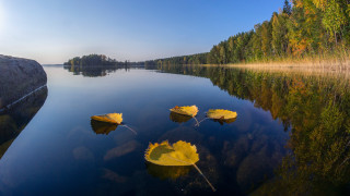 Lake leaves forest blue sky - a blue sky and some clouds free wallpaper