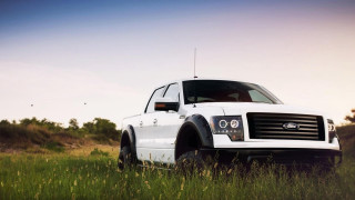 White truck parked field tall - a white truck free wallpaper