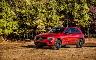 Red mercedes suv parked forest - a.d.m. cooper free wallpaper for desktop